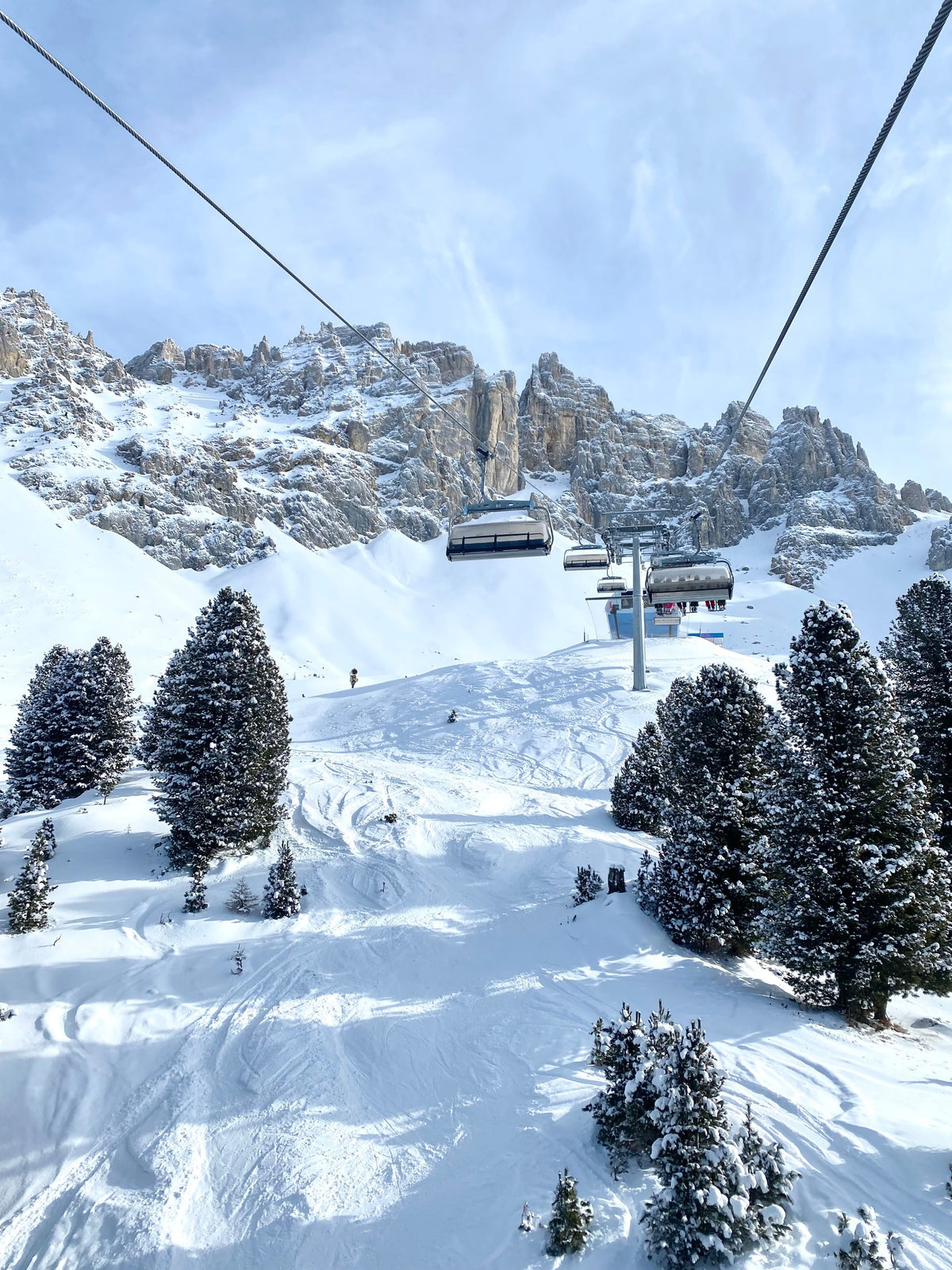 Private Ski Lesson